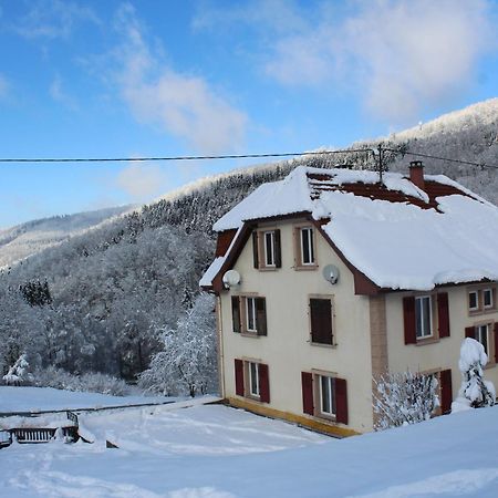 Domaine De La Charriere Sur 63 Ares - 8 Pers Grand Confort Villa Neuviller Exteriör bild