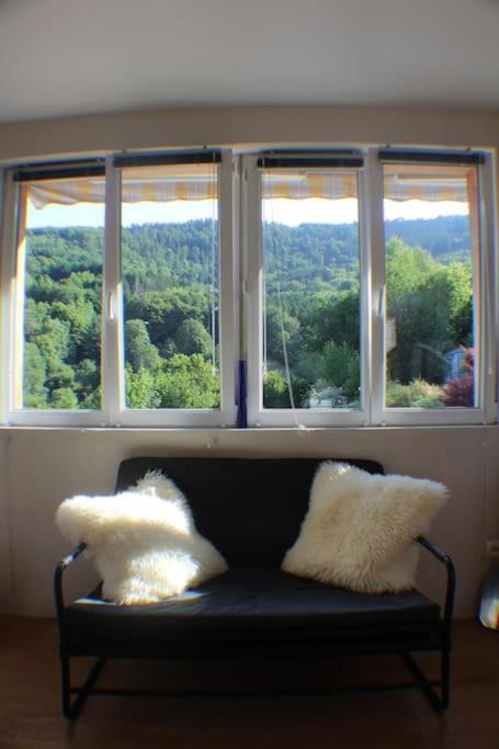 Domaine De La Charriere Sur 63 Ares - 8 Pers Grand Confort Villa Neuviller Exteriör bild