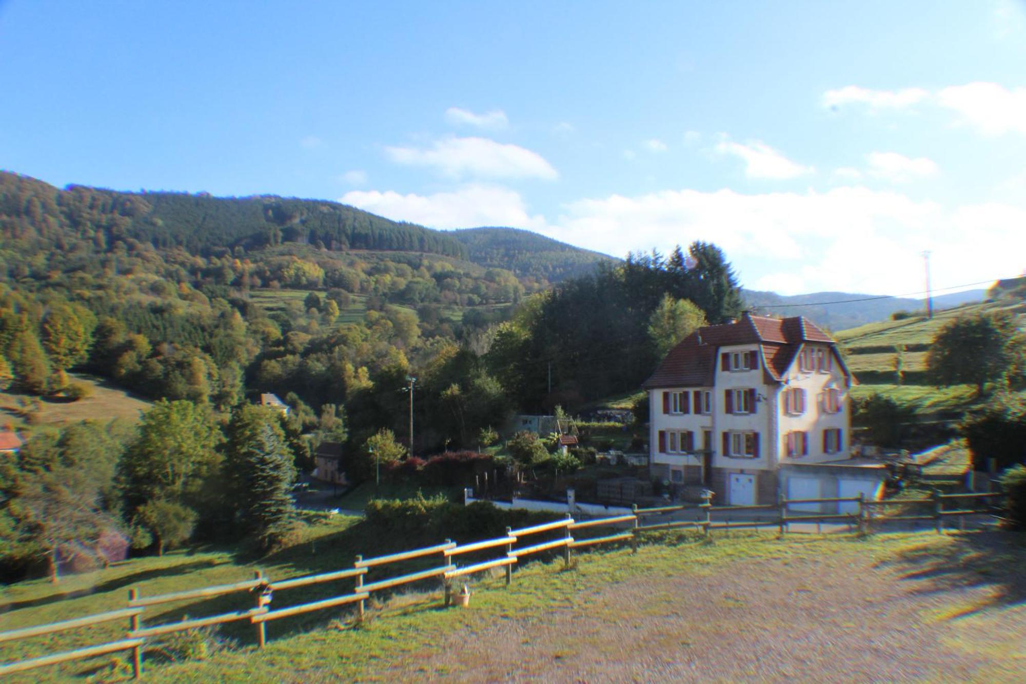 Domaine De La Charriere Sur 63 Ares - 8 Pers Grand Confort Villa Neuviller Exteriör bild
